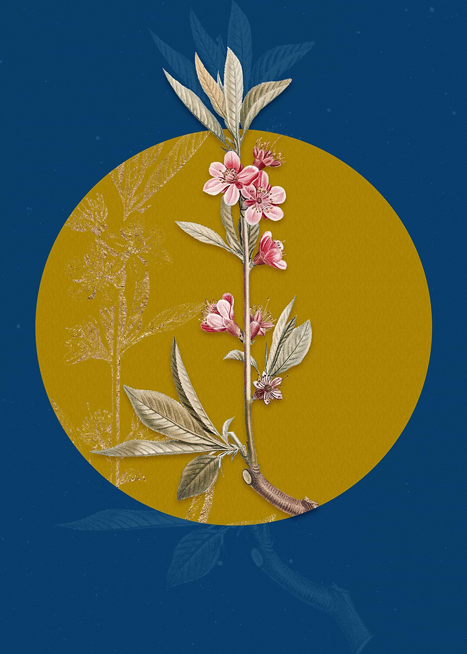 Vintage Pink Flower Branch