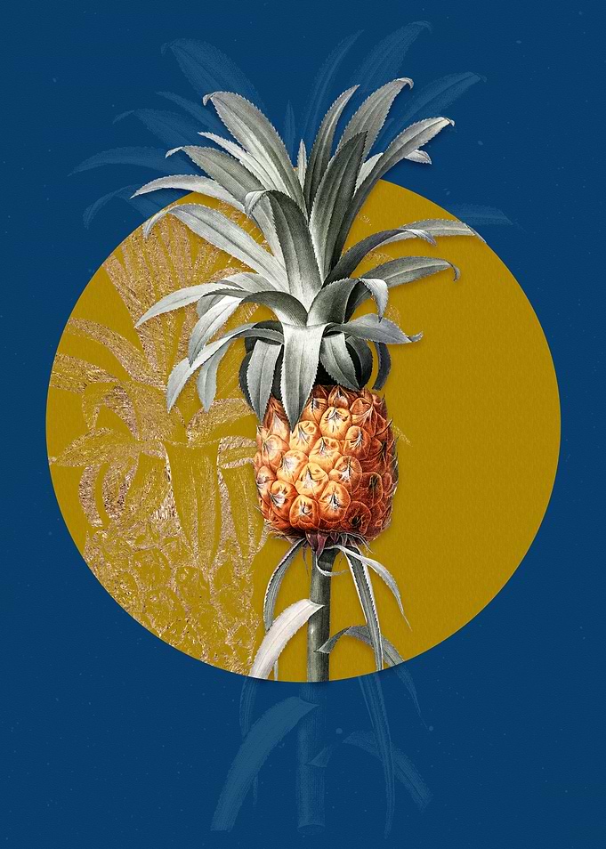 Vintage Pineapple Painting