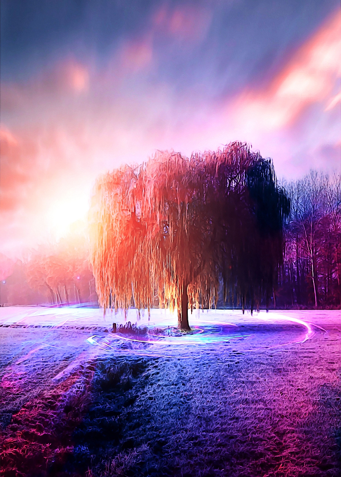 Weeping wilow surreal