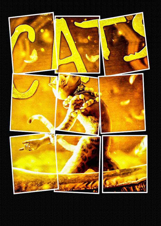 Cats