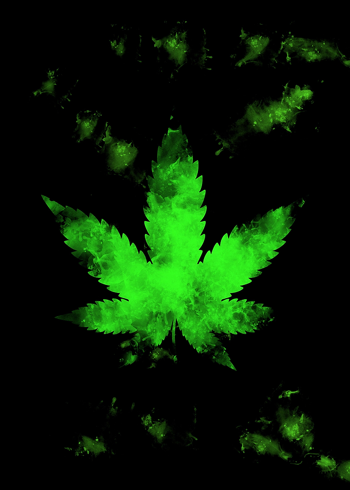cannabis
