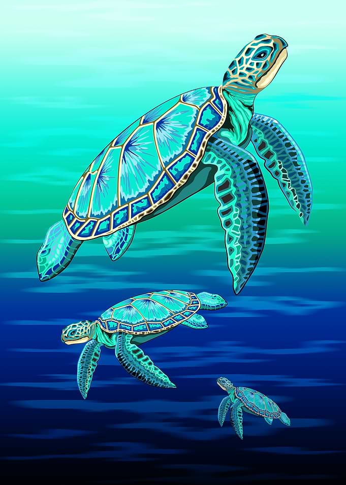 Sea Turtle Turquoise Ocean