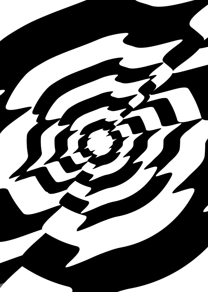 Black White Hole