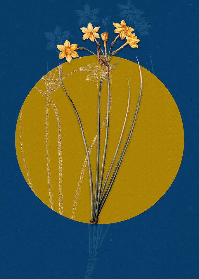 Vintage Rush Daffodil Blue