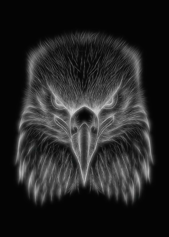Eagle Black White