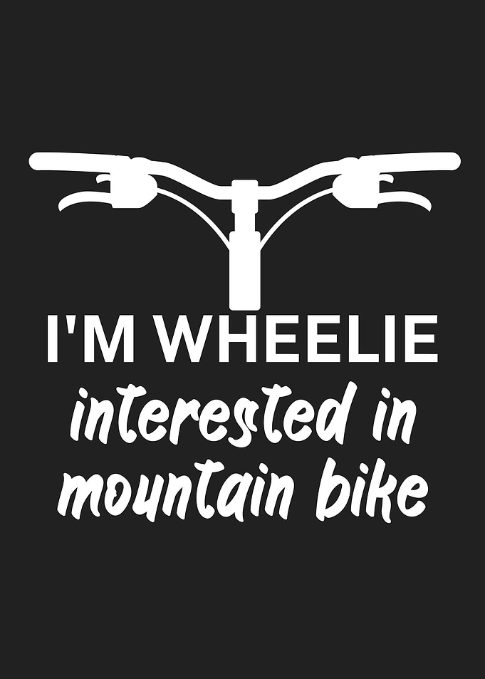 Mountain Bike Wheelie