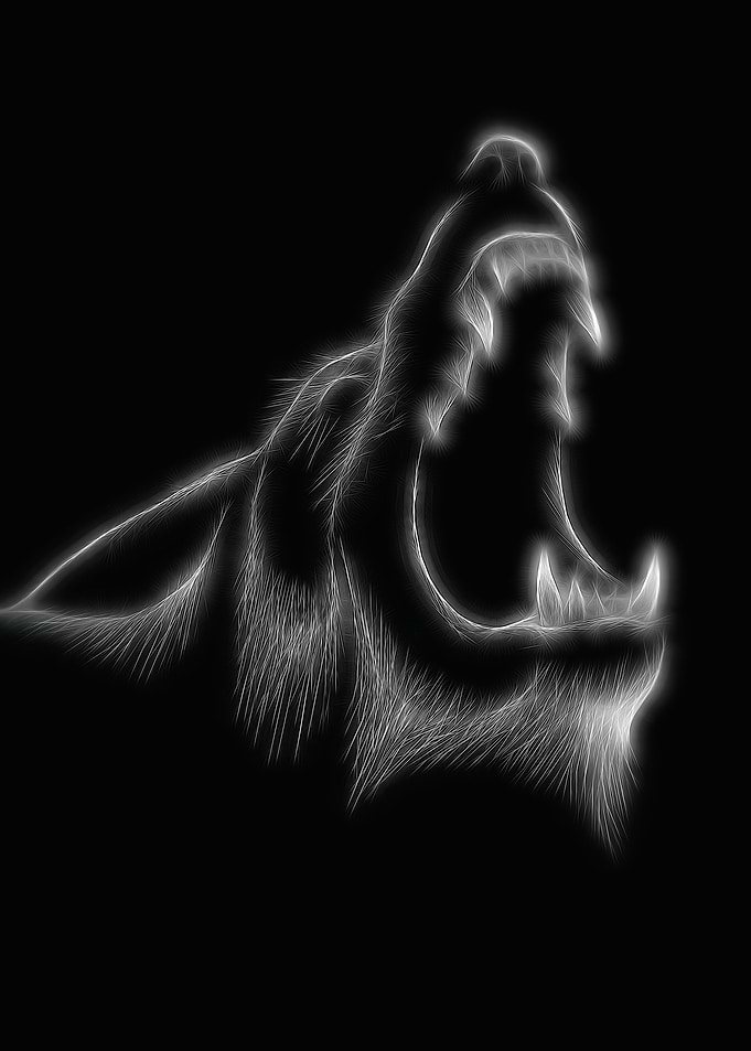 Wolf Black White
