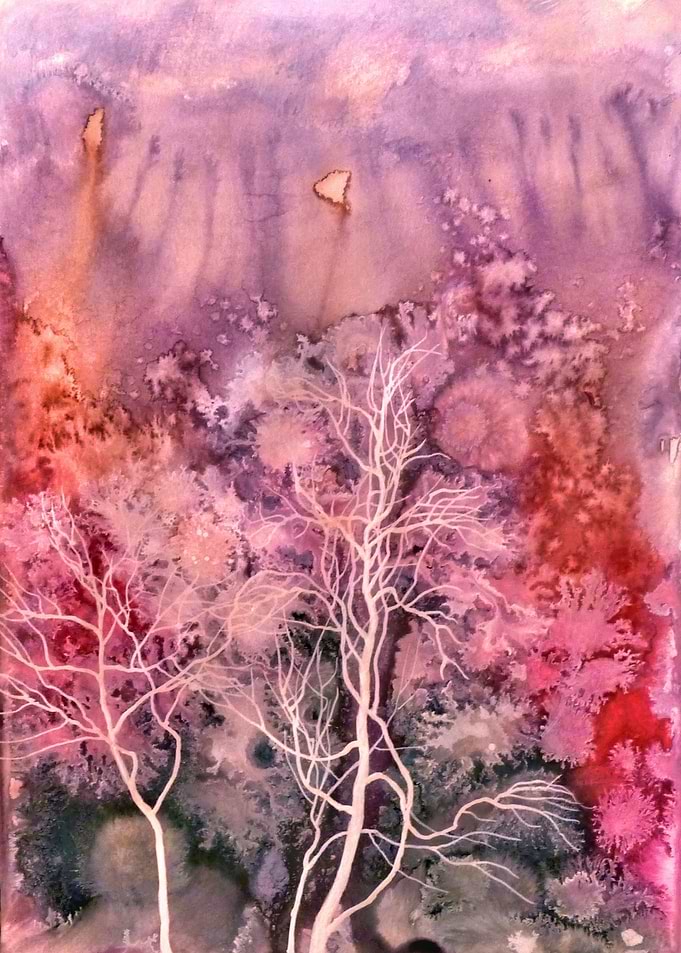Forest spring