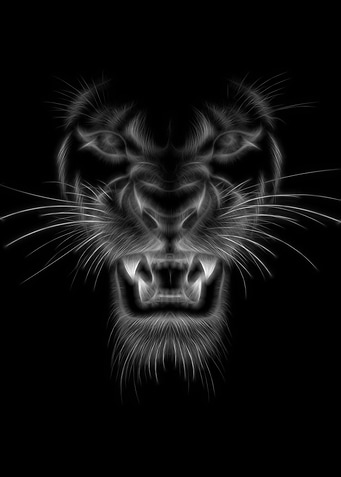 Tiger Black White