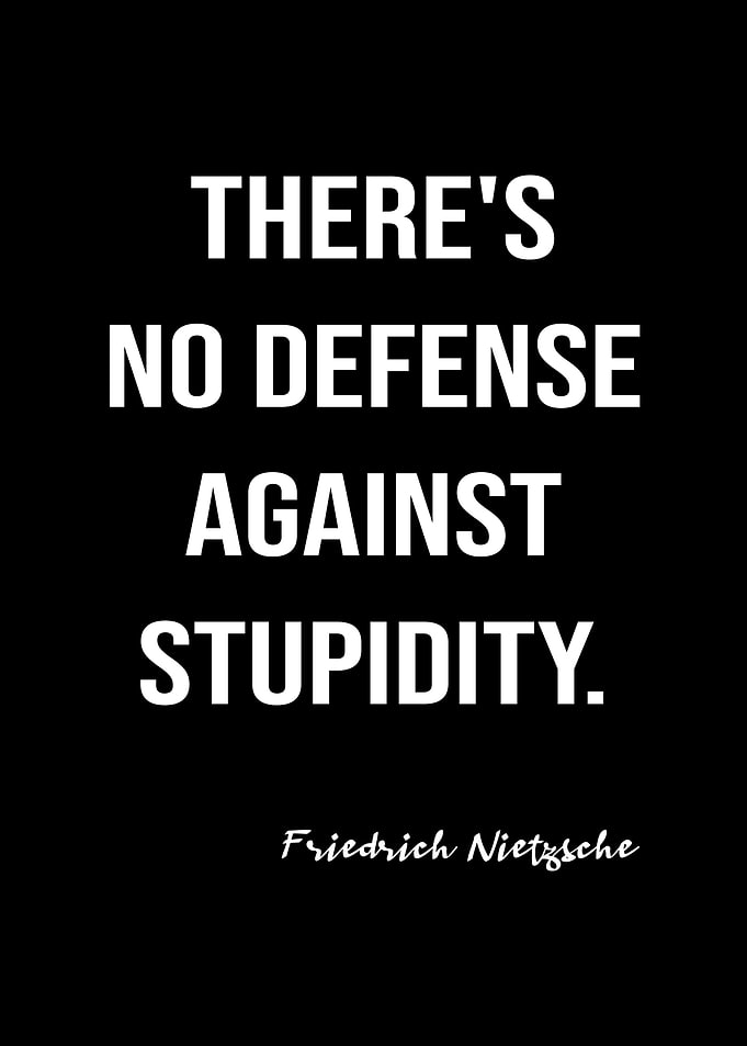 Nietzsche On Stupidity