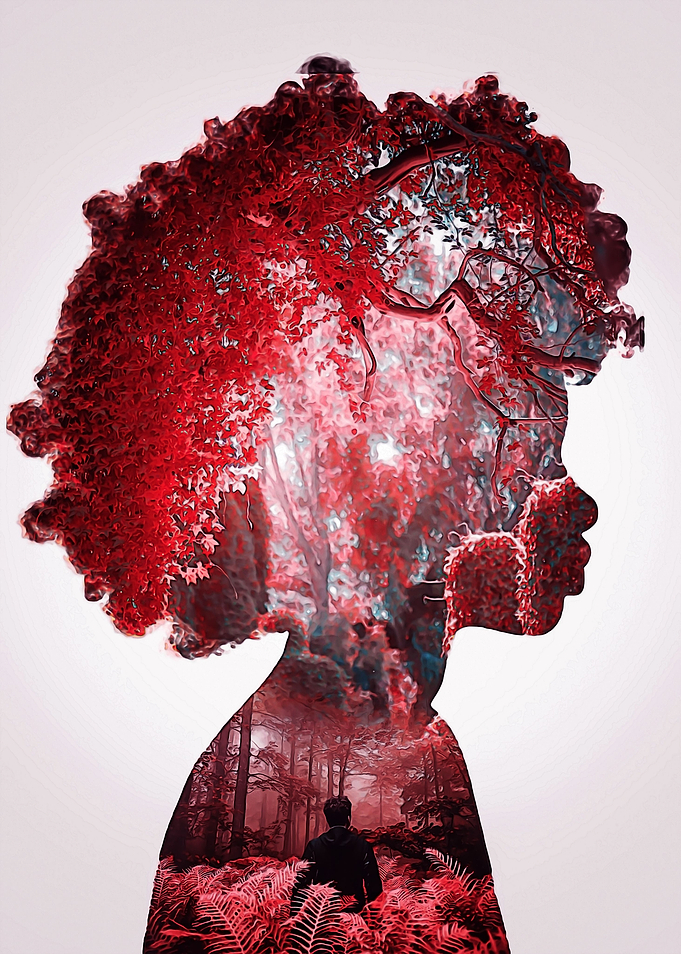Red forest double expo