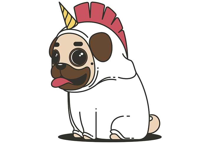 Unicorn Pubby
