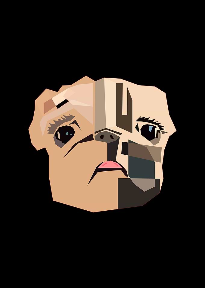Dog wpap pop art pug