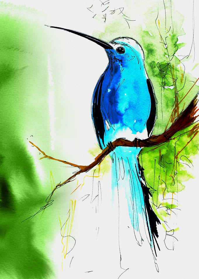 Feathered Creature