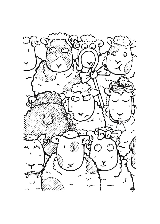 A flock of sheep