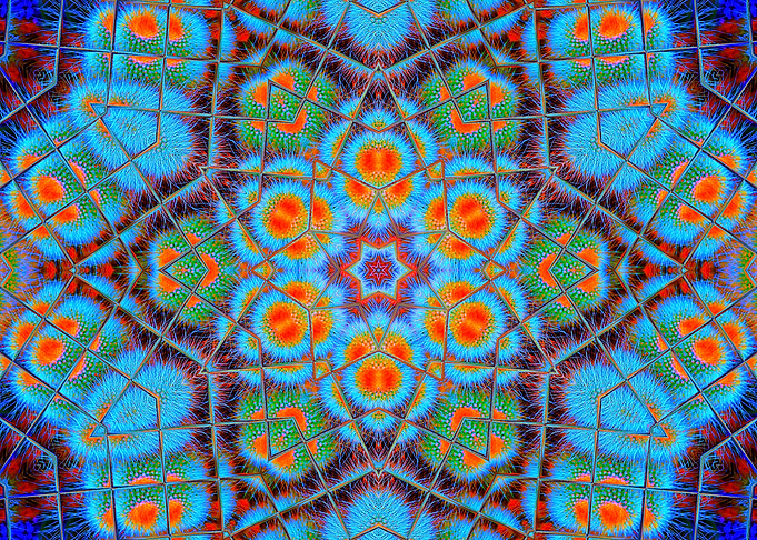 The Spiny Cactus Hexagram