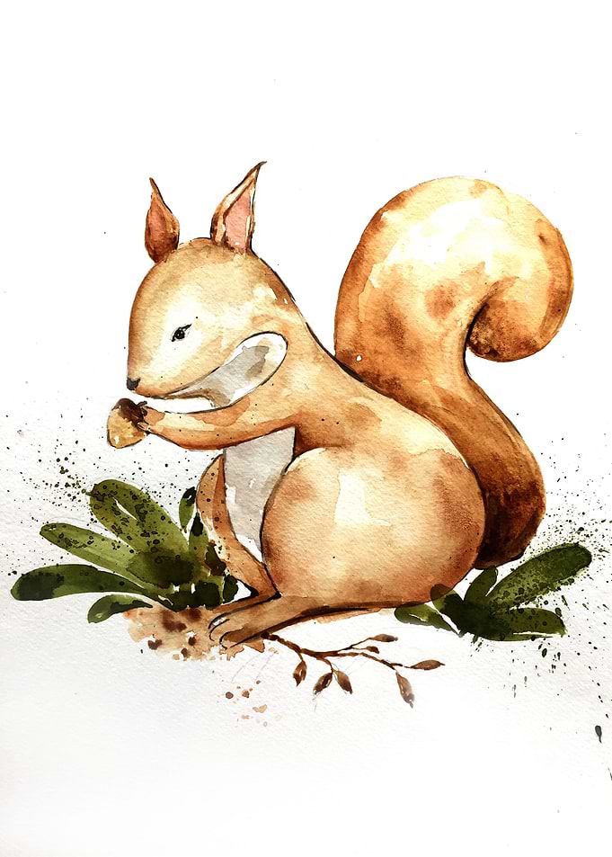 Animal