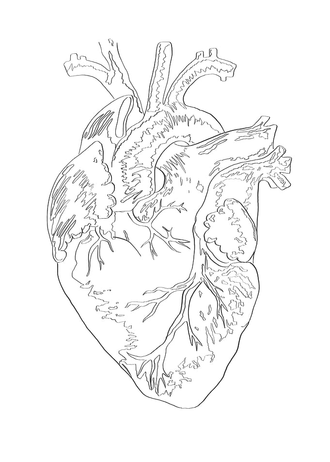 Heartbeat