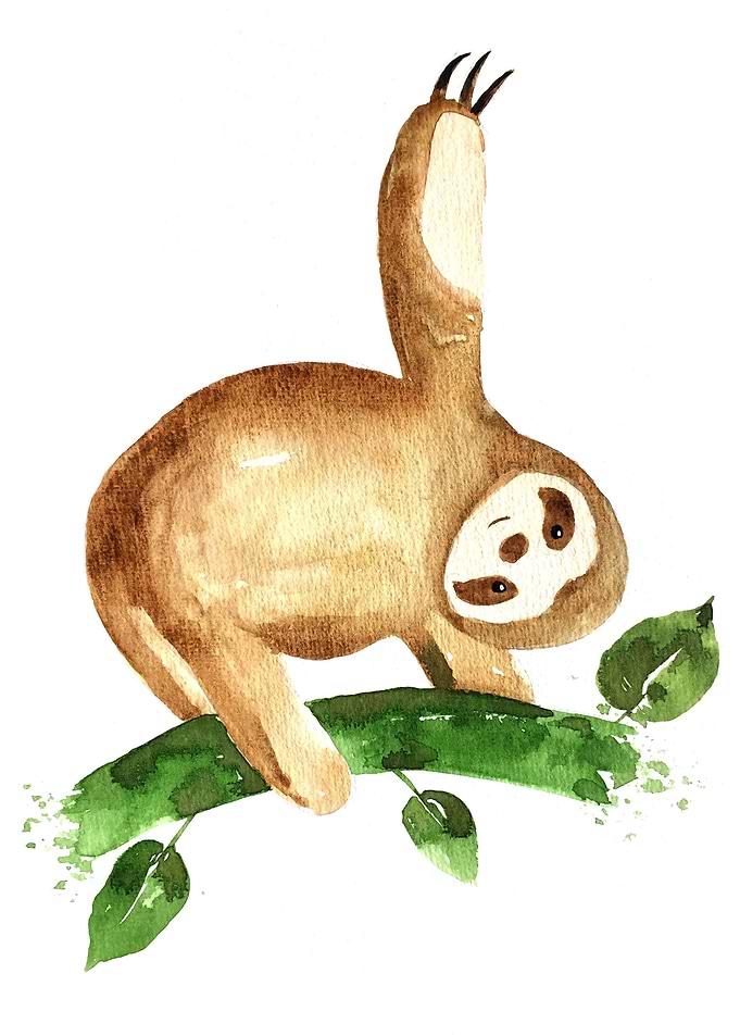 Animal