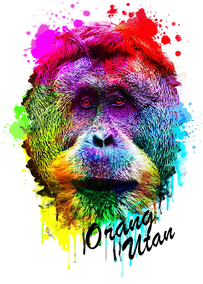Orang Utan Water Splash