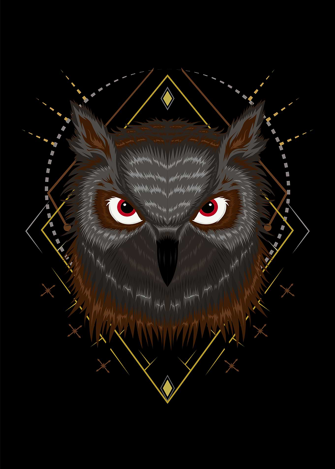 Owl vector Illustration