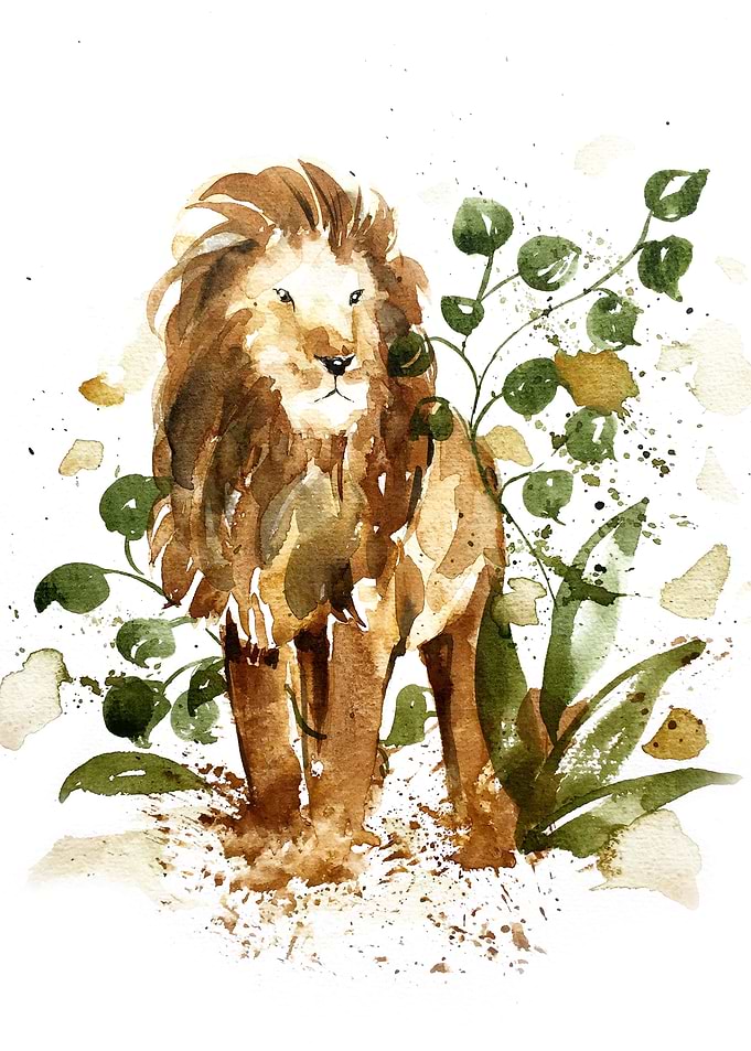 Animal