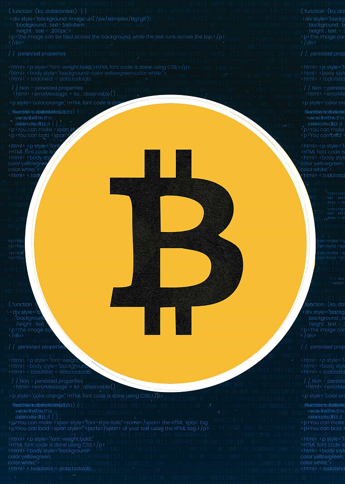Bitcoin Coin
