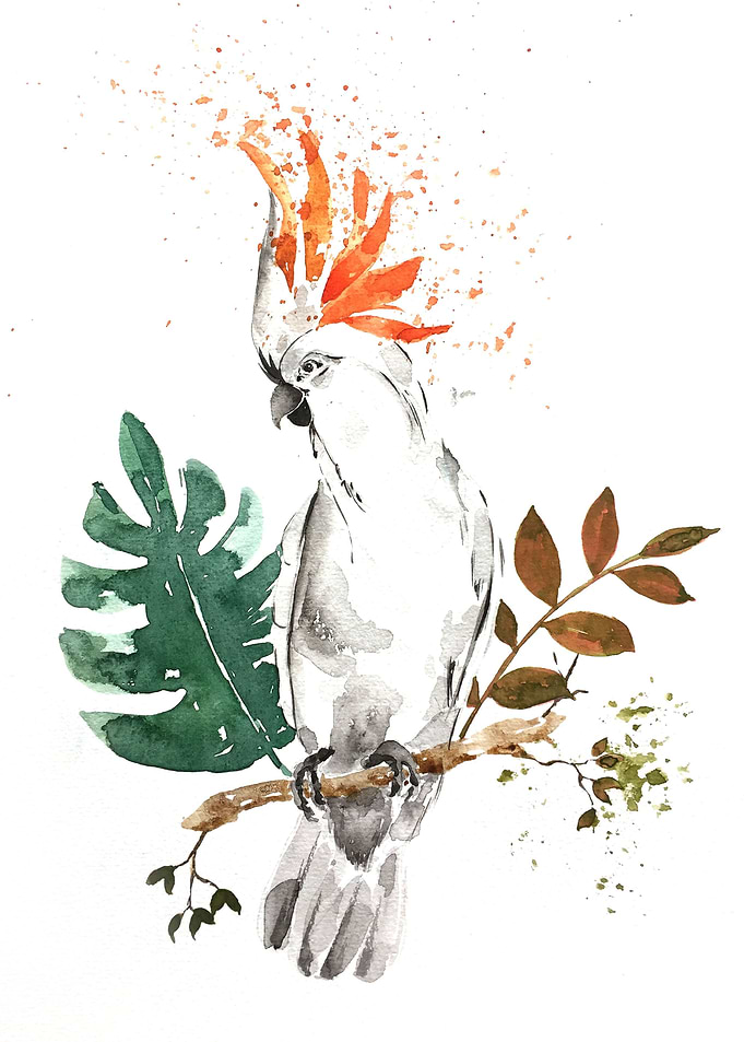 Animal