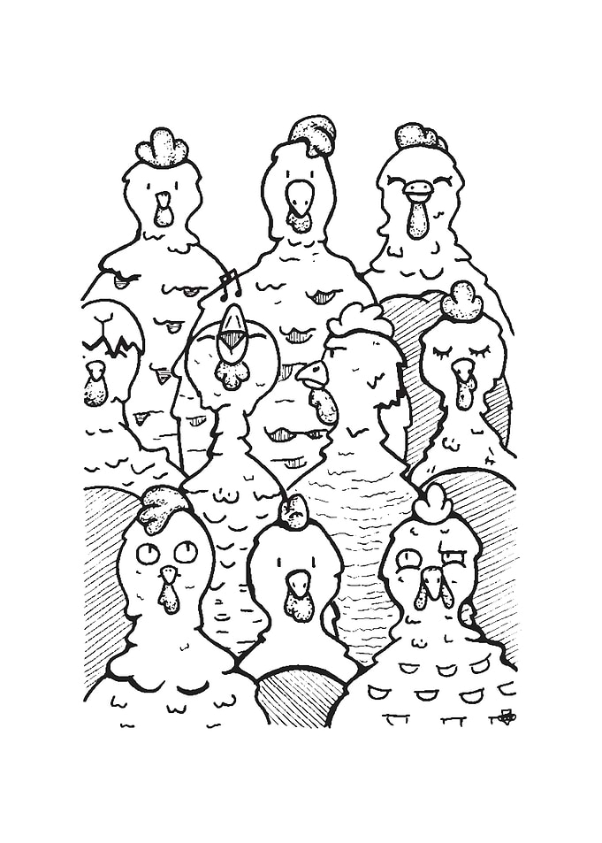 A brood of chickens