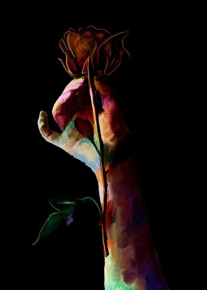 rose flower