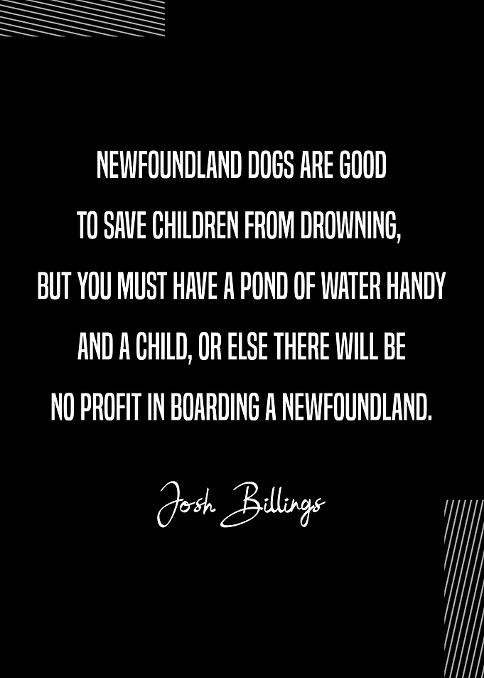 Josh Billings Newfoundland