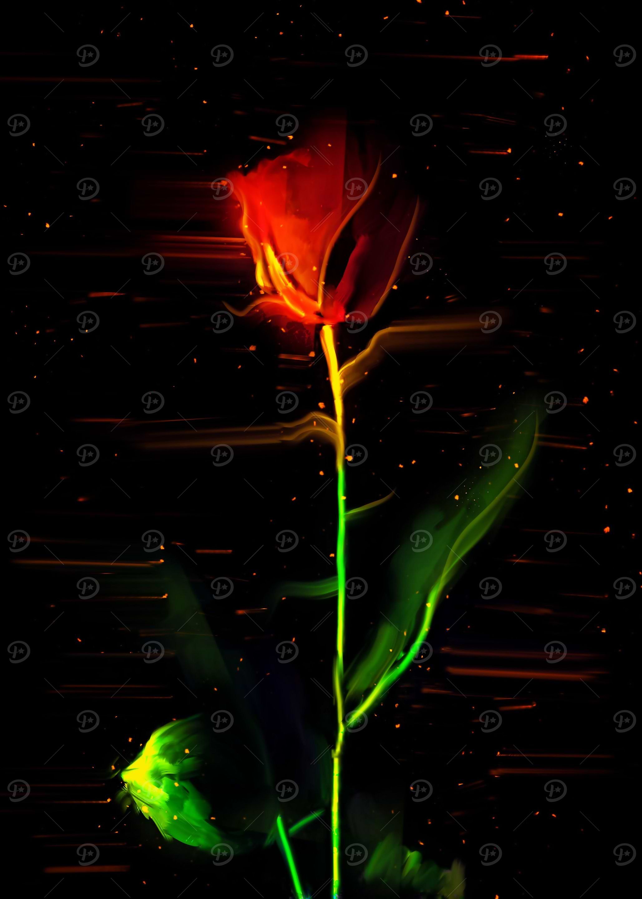 Rose flower