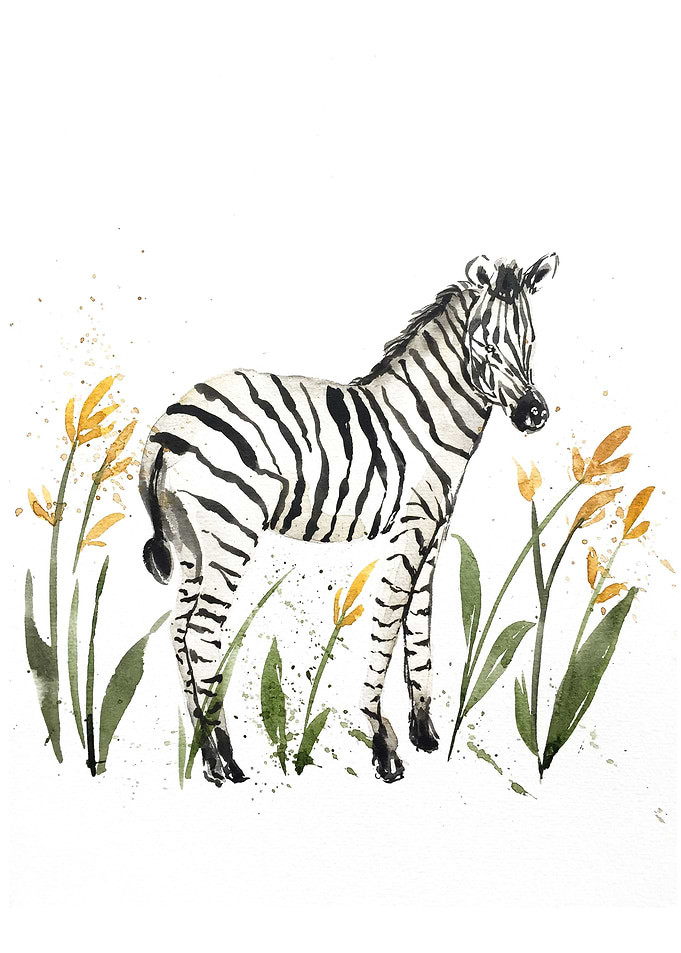 Animal