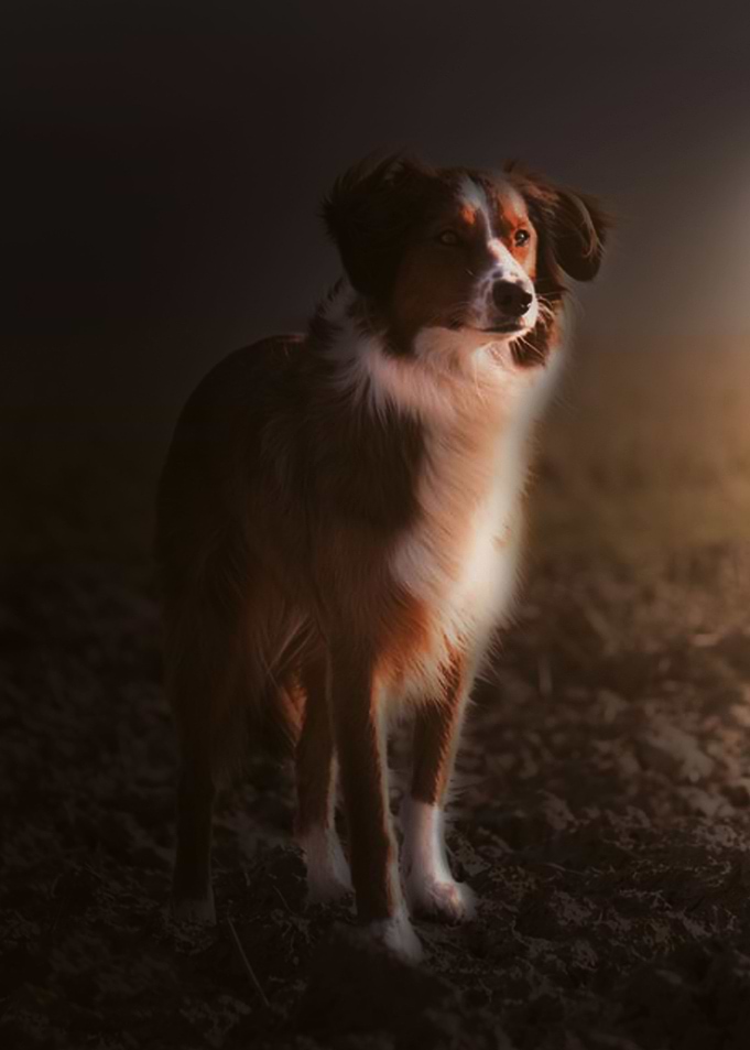 Standing Tall