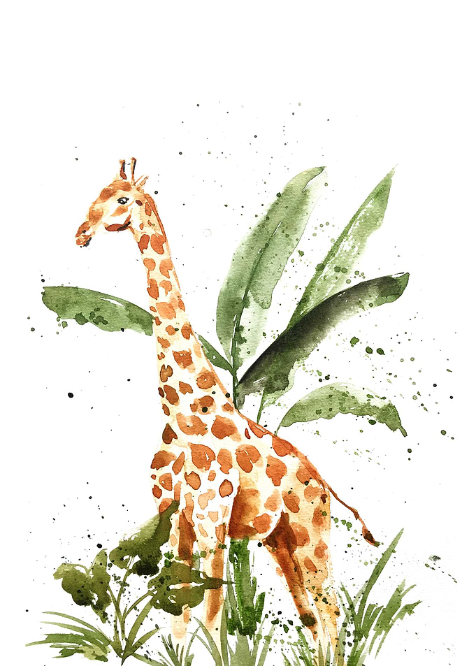 Animal