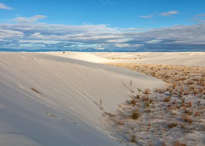 White Sand Morning