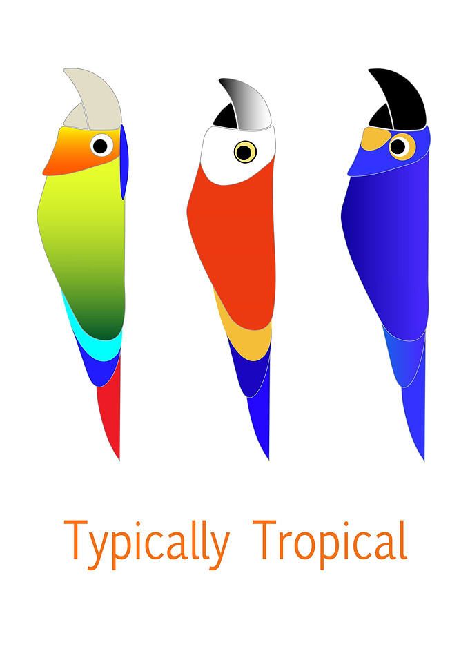 Tropical Birds