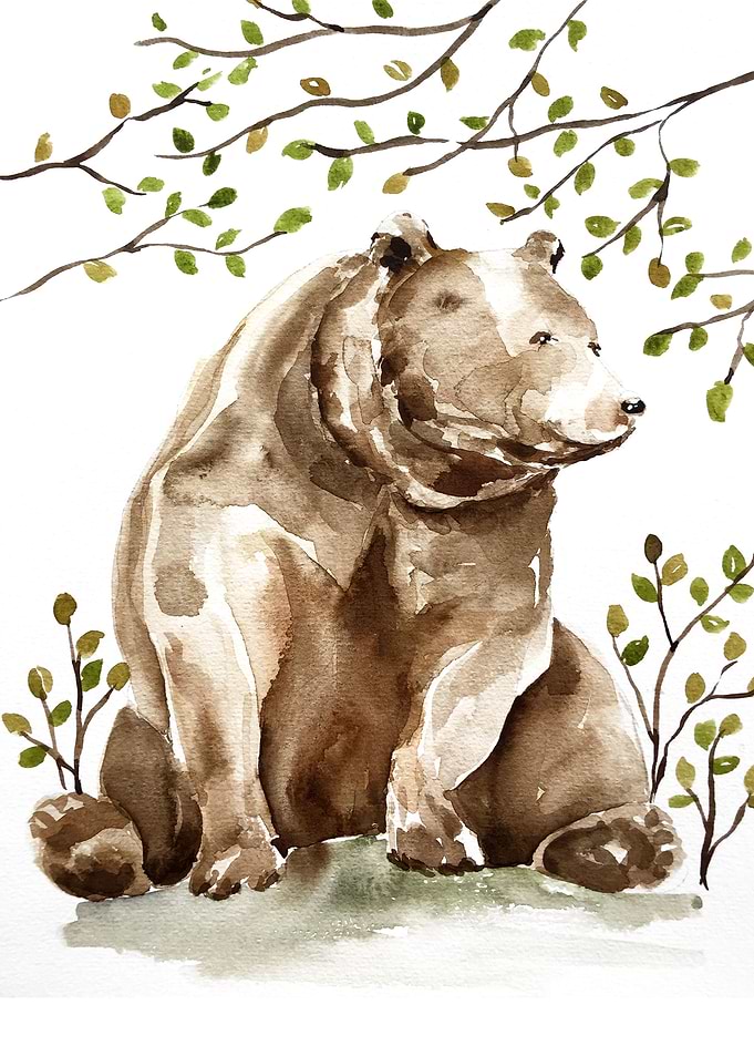 Animal