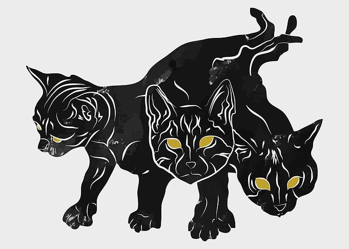 Catberus