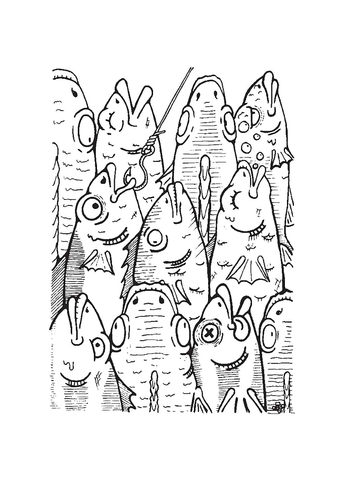 A school of fish