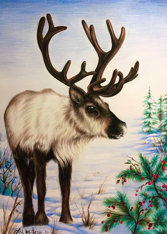 Reindeer