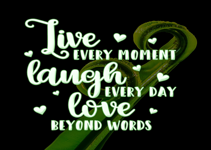 Live Every Moment