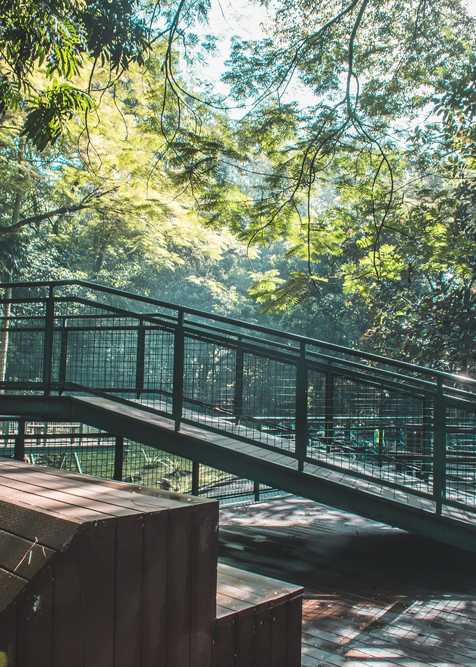 city park