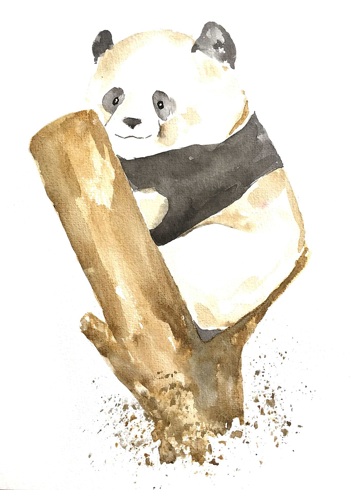 Animal