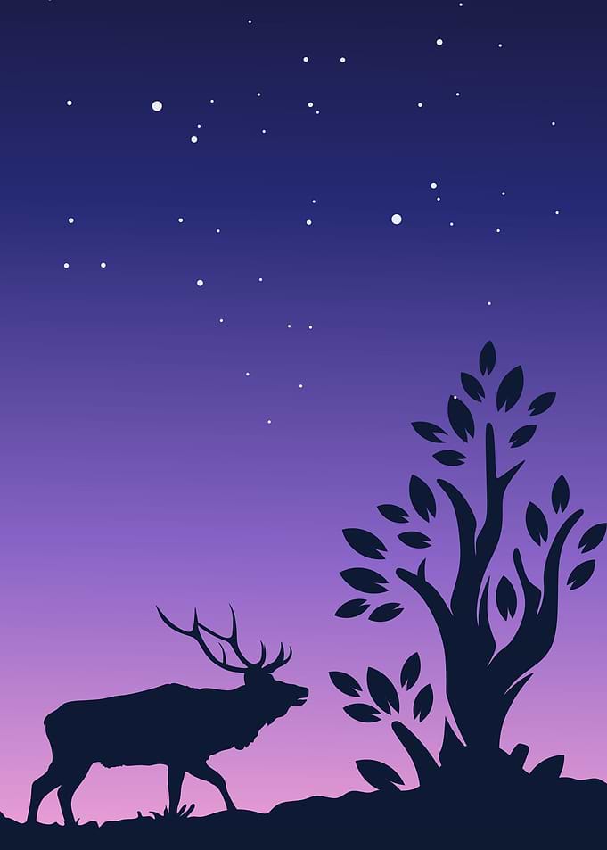 Minimalist