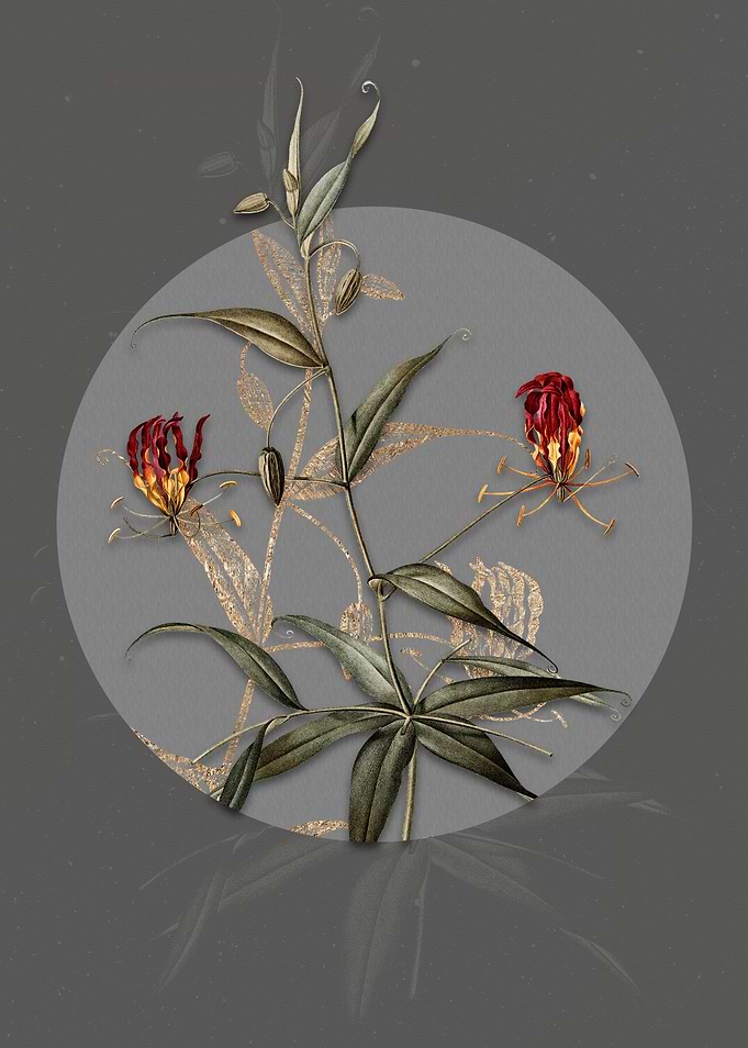Vintage Flame Lily Flowers