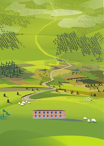 Green meadow