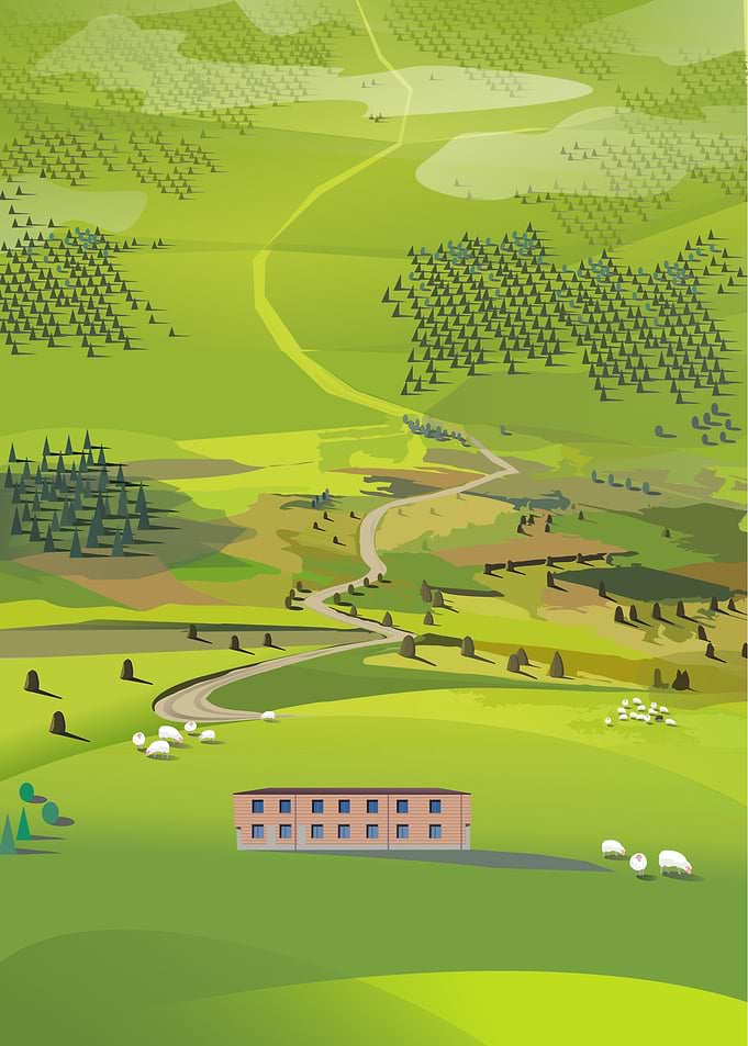 Green meadow