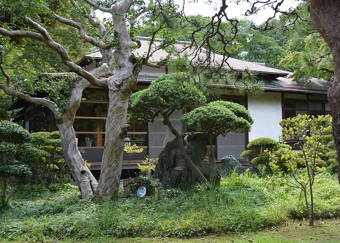 Japanese Garden