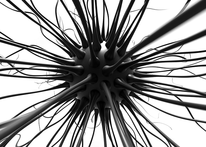 Dark bacteria